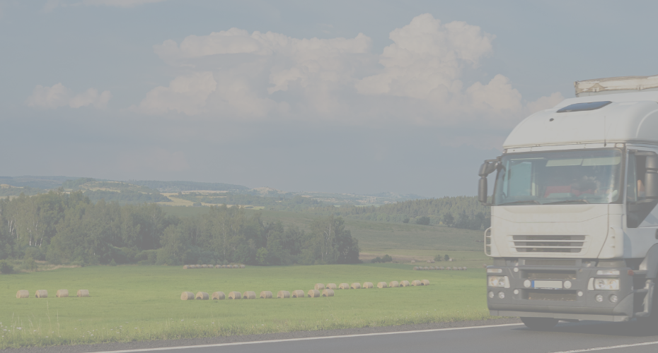 Tacógrafo en vehículos de sustitución guía rápida